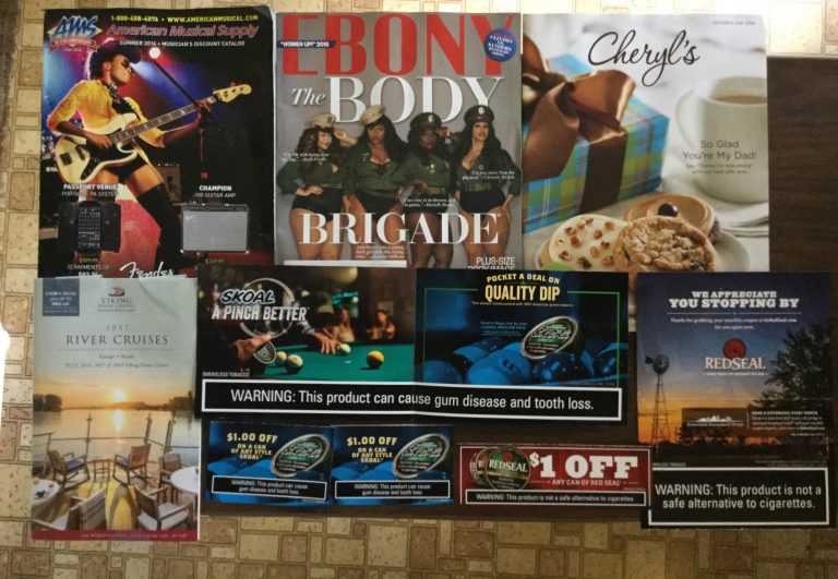 🎸American Musical Supply💇🏾EBONY🍪Cheryl’​s🛳Viking River Cruises 2017 Europe & Russia🚬Skoal and RedSeal coupons💸 🐝