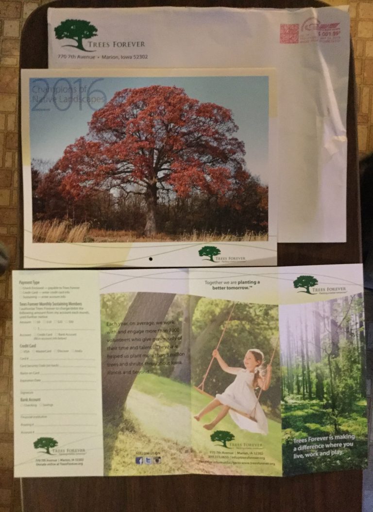 Free 2016 Trees Forever Calendar