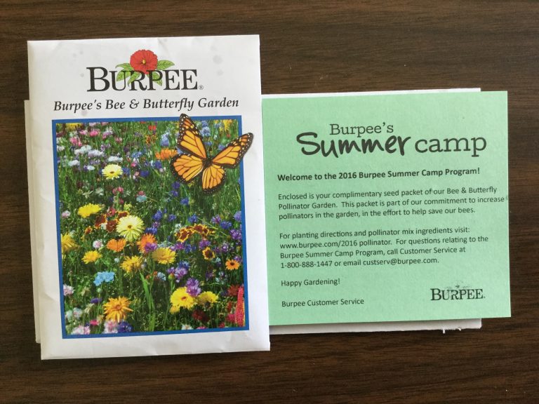 Free Burpee’s Bee & Butterfly Garden Seeds