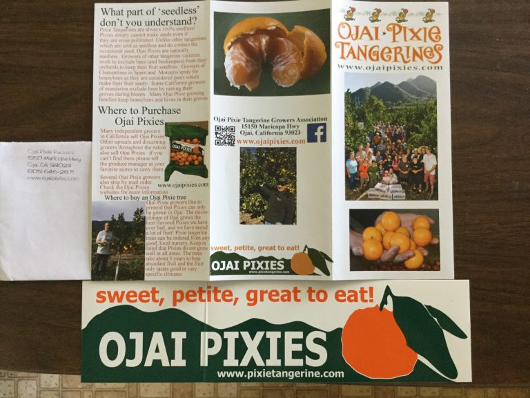 Free  Ojai Pixies Sticker
