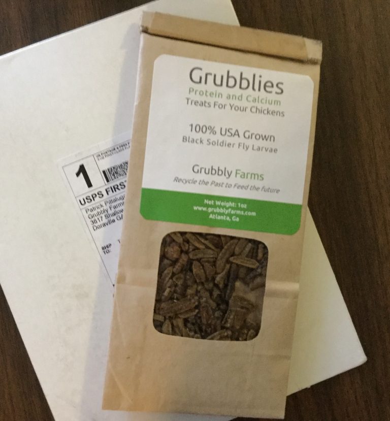 Free Grubblies Black Soldier Fly Larvae