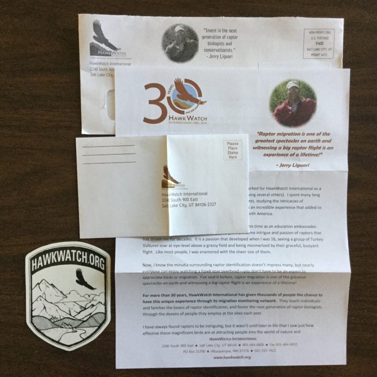 Free Hawkwatch.org Sticker