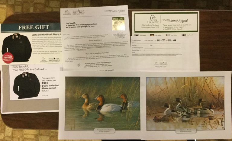Free Ducks Unlimited Photos and address labels