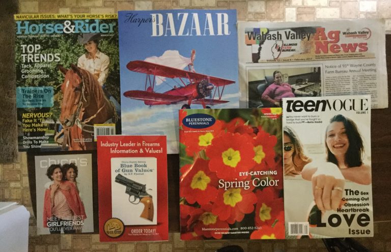 🚚 2-21-2017 Free mail 🏇🏼 Horse&Rider ✈️ Harper’s BAZAAR 🚜 Wabash Valley Ag News 👚 Chico’s discount card 💳 Blue Book of Values 🌺 Bluestone Perennials 🏊🏻‍♀️TeenVOGUE 🙋🏼