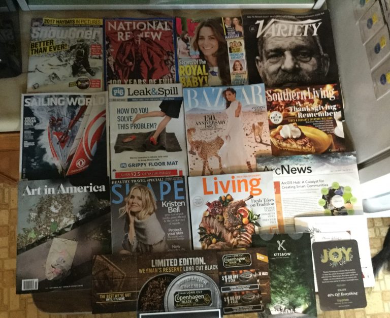 📬10-23-17 Free Mail 👻Snow Goer 🌎National Review 👨‍👧‍👦US weekly 🎃Variety ⛵️Sailing World 🐷 Pig Leak & Spill 🤖Bazaar ⛺️Southern Living 🎨Art in America 👙Shape Martha Stewart Living 🚀ArcNews 🤹🏻‍♂️Copenhagen 🏹Kitsbow 📲Tini prints 🌆