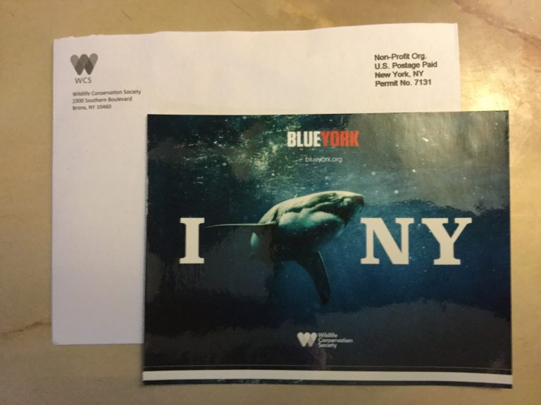 Free I❤️NY Sticker