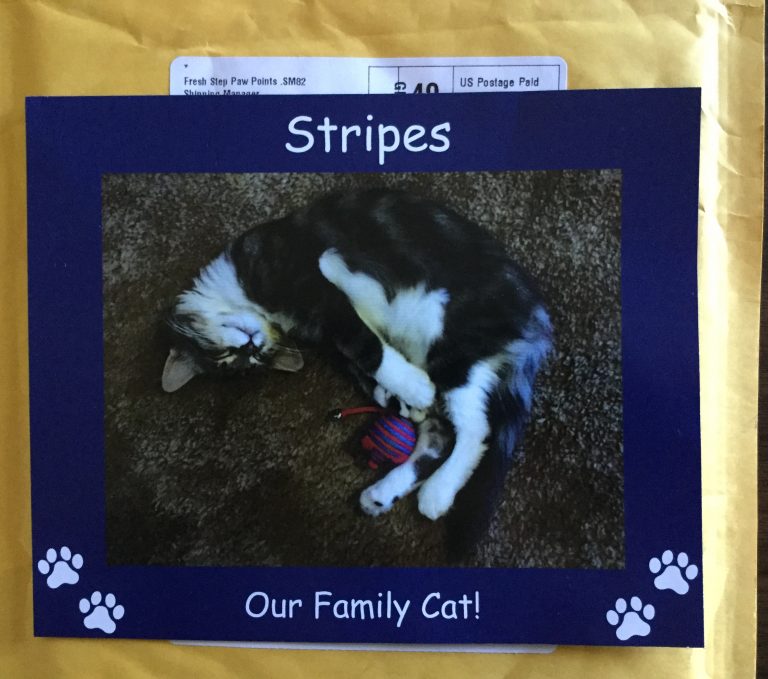 Free Family Cat  Photo Magnet from Fresh Step Paw Points