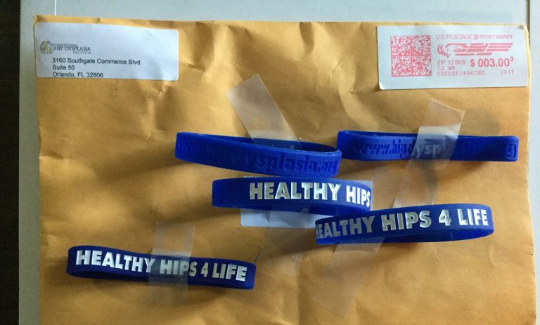 Free Healthy Hips 4 Life Wristbands