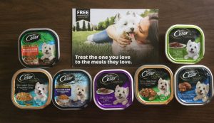 Free Cesar Dog Food