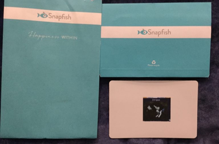 Free Photo Magnet from Spapfish