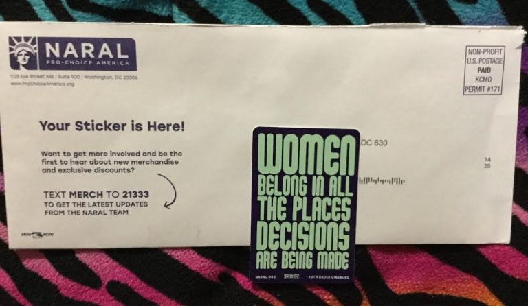 Free Women Belong in all the places decisions are being made sticker