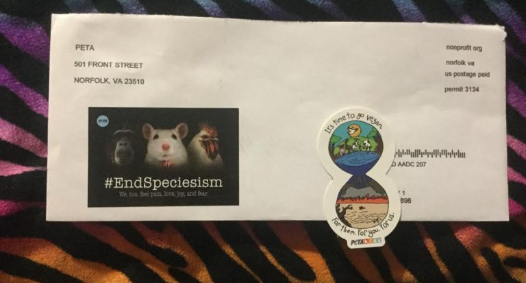 Free Peta  It’s time to go vegan sticker