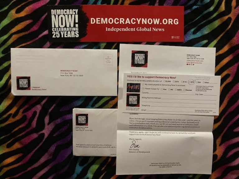 Free Democracy Now Sticker